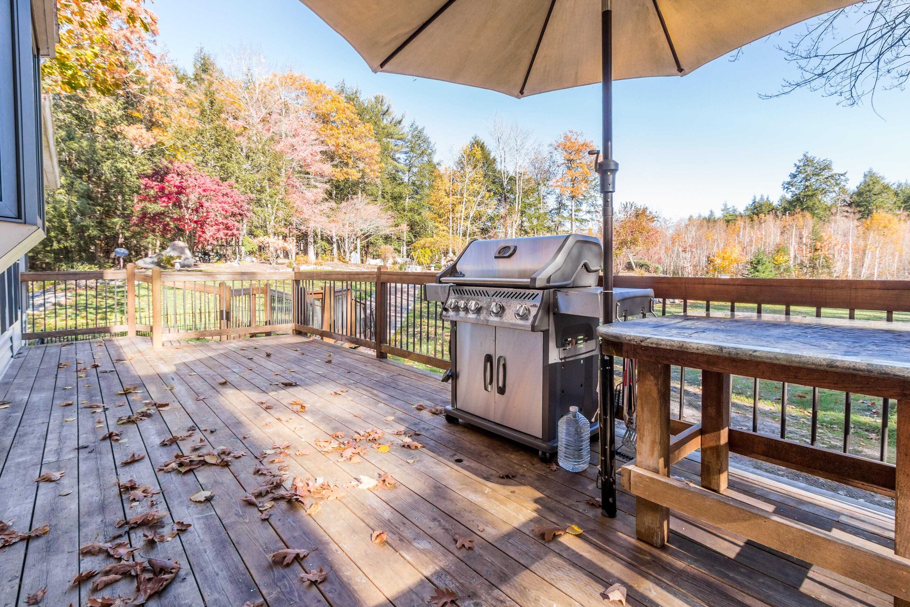 158 Jackson Cove Road Naples, ME 04055 - Photo 95 of 119 20211101HL-71108