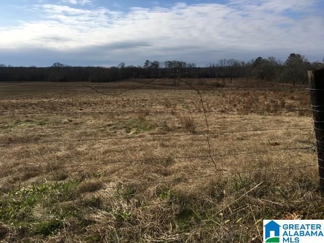 0 County Road 235, Unit 1 Alpine, AL 35014 - Photo 6 of 12