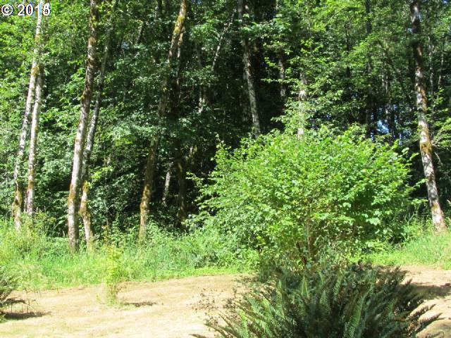 17375 Ben Smith Road Tillamook, OR 97141 - Photo 3 of 15 Gallery Image 3