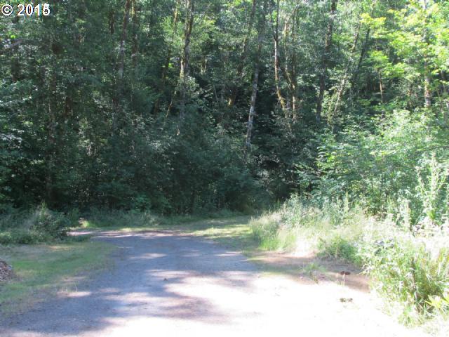 17375 Ben Smith Road Tillamook, OR 97141 - Photo 10 of 15 Gallery Image 10