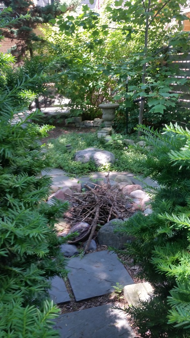 512 North Leavitt Street Chicago, IL 60612 - Photo 11 of 14 a view of a garden with a lake
