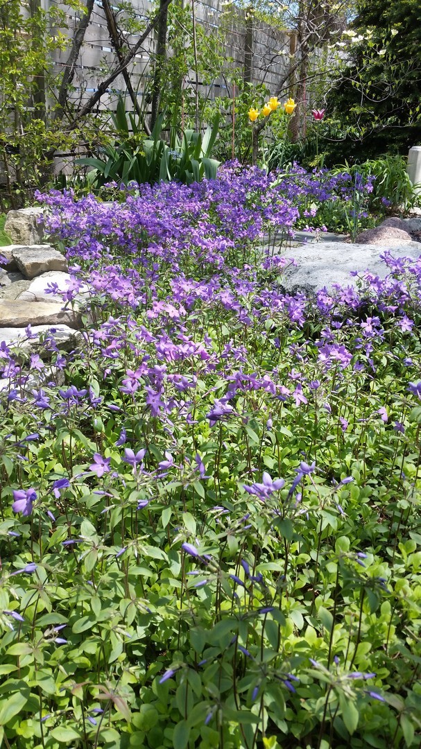 512 North Leavitt Street Chicago, IL 60612 - Photo 13 of 14