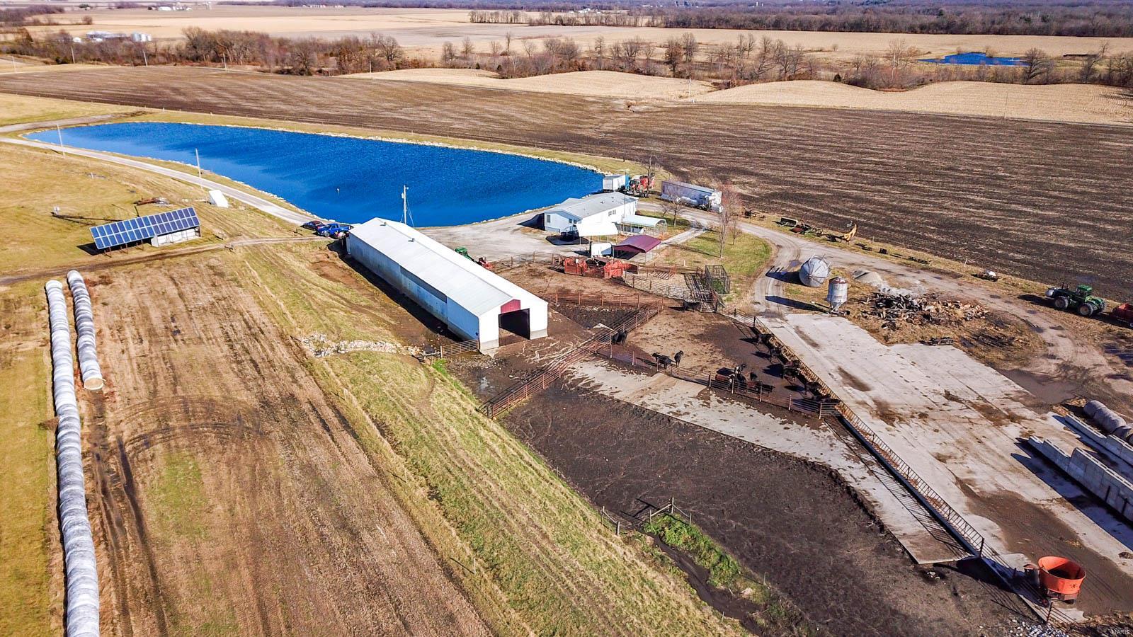 9517 Henderson Road Gillespie, IL 62033 - Photo 4 of 60