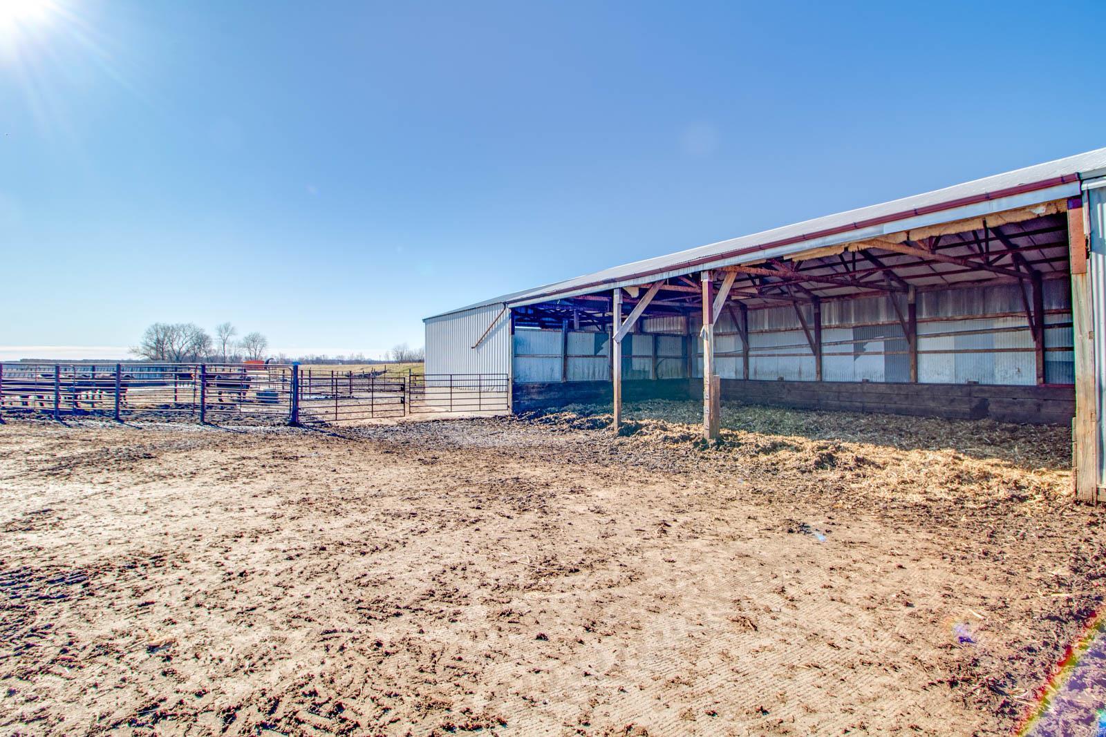 9517 Henderson Road Gillespie, IL 62033 - Photo 33 of 60