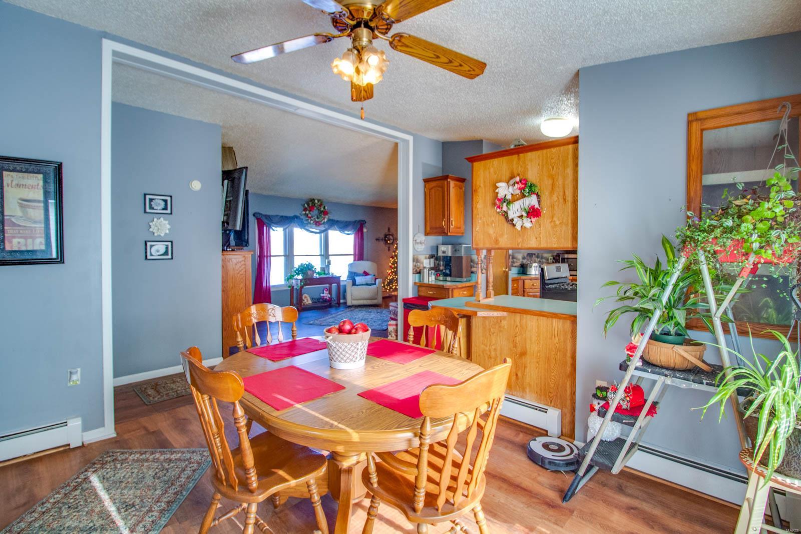 9517 Henderson Road Gillespie, IL 62033 - Photo 42 of 60