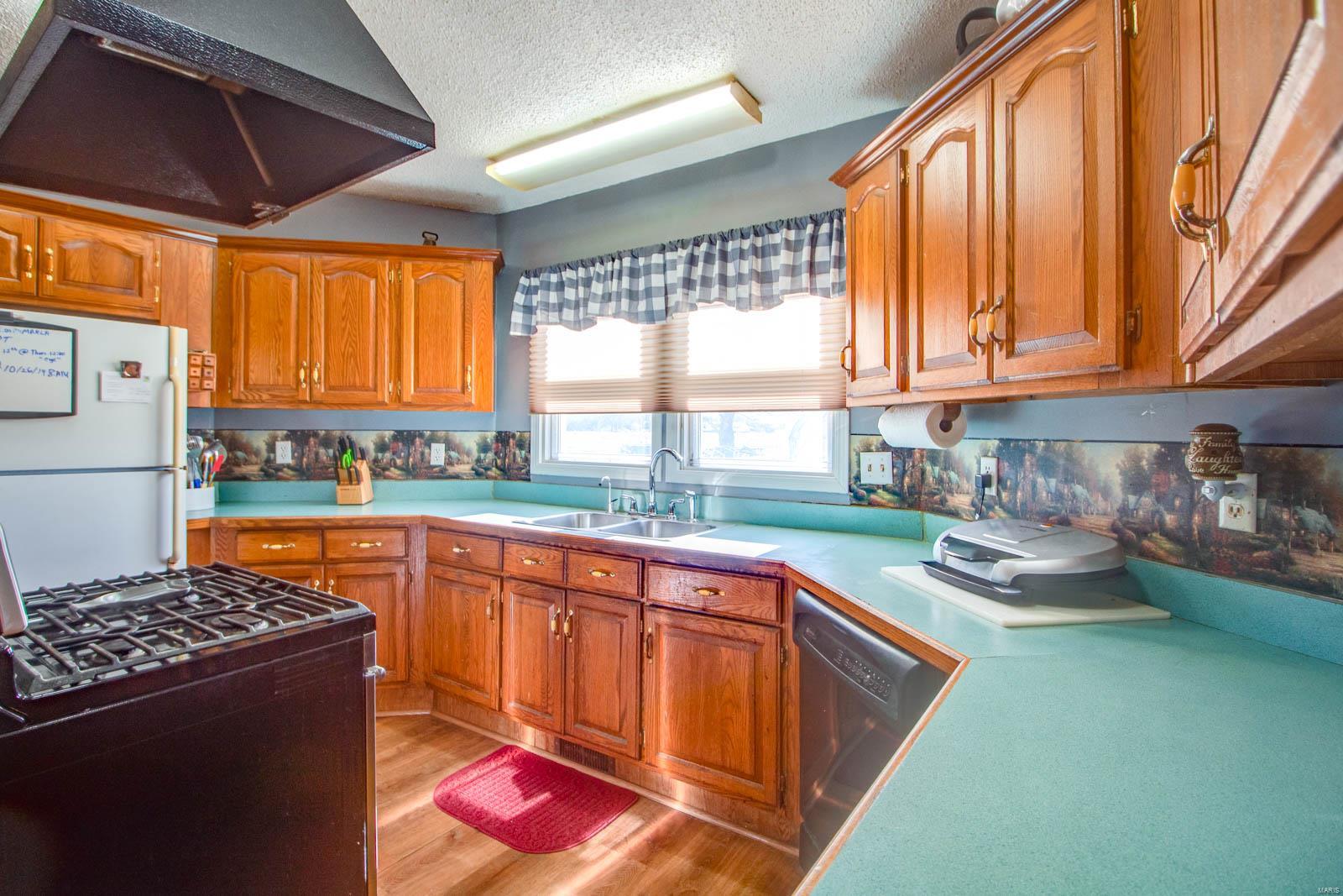 9517 Henderson Road Gillespie, IL 62033 - Photo 43 of 60