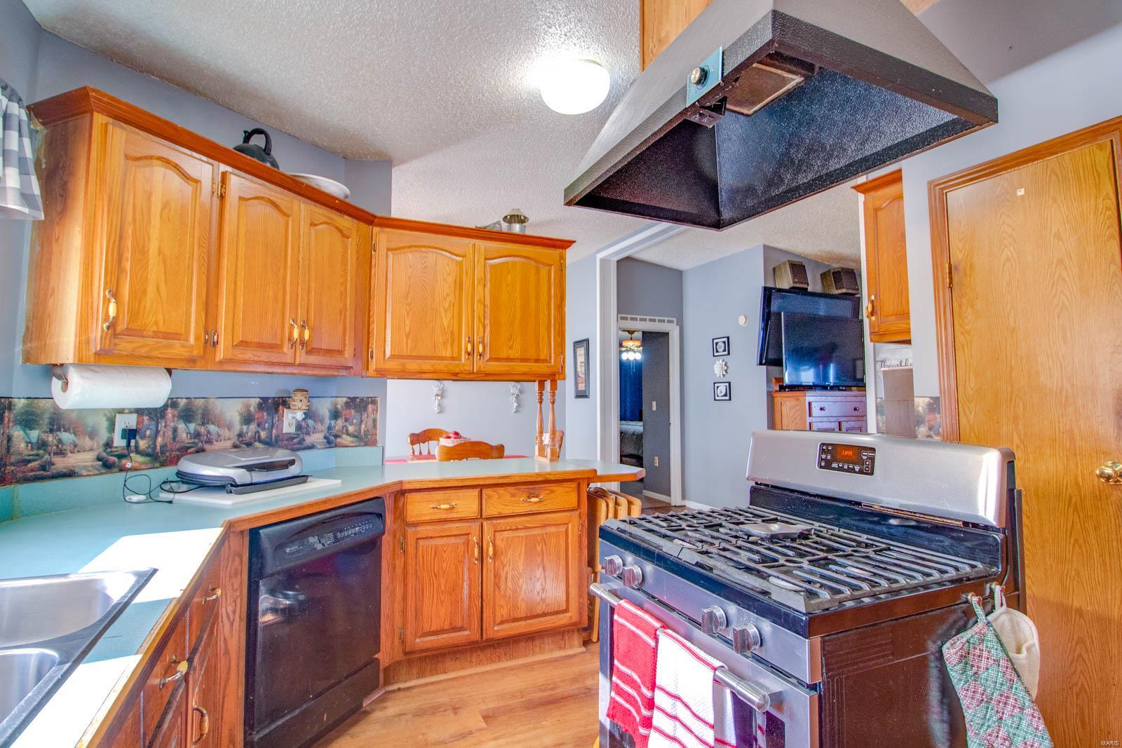 9517 Henderson Road Gillespie, IL 62033 - Photo 46 of 60