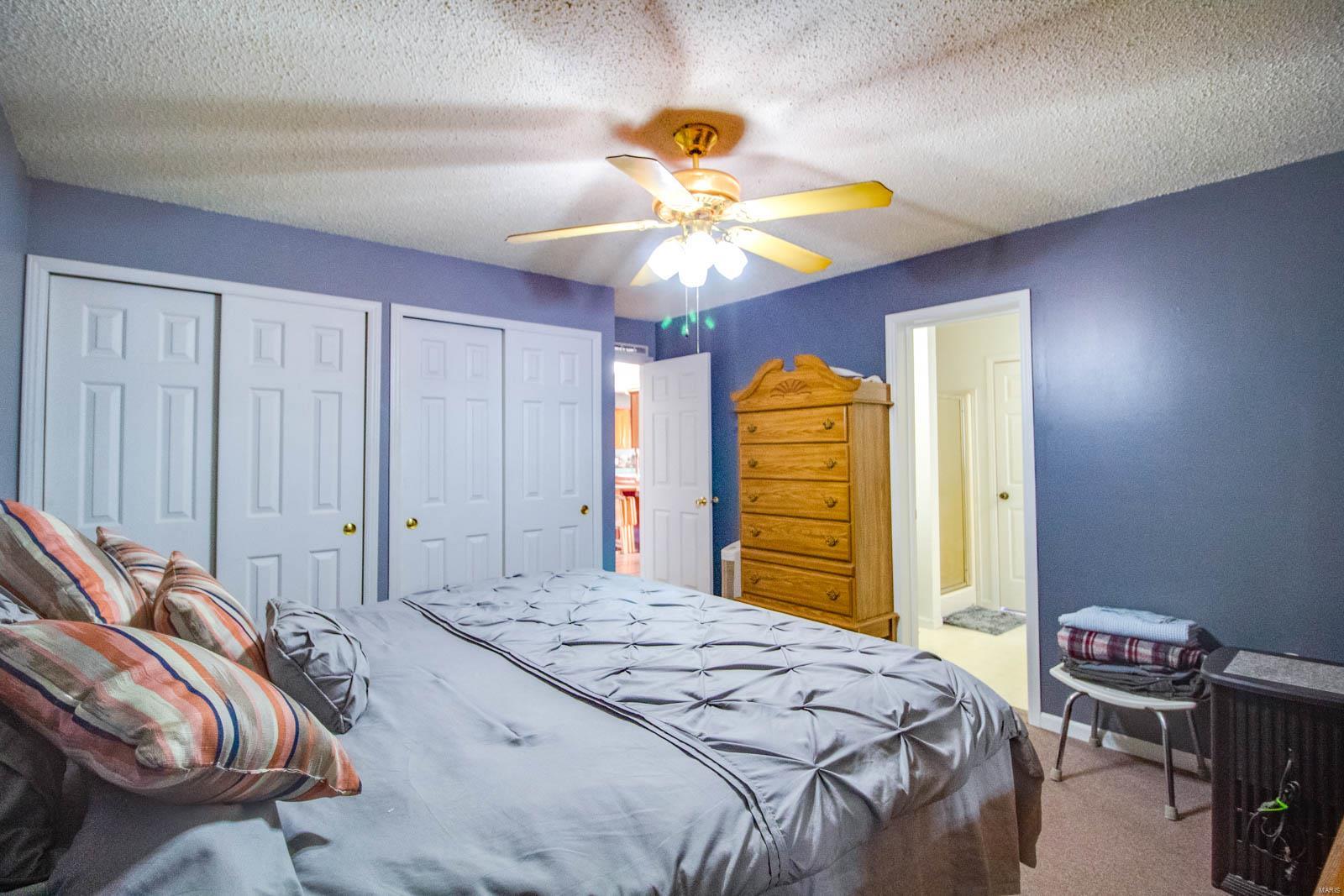 9517 Henderson Road Gillespie, IL 62033 - Photo 49 of 60