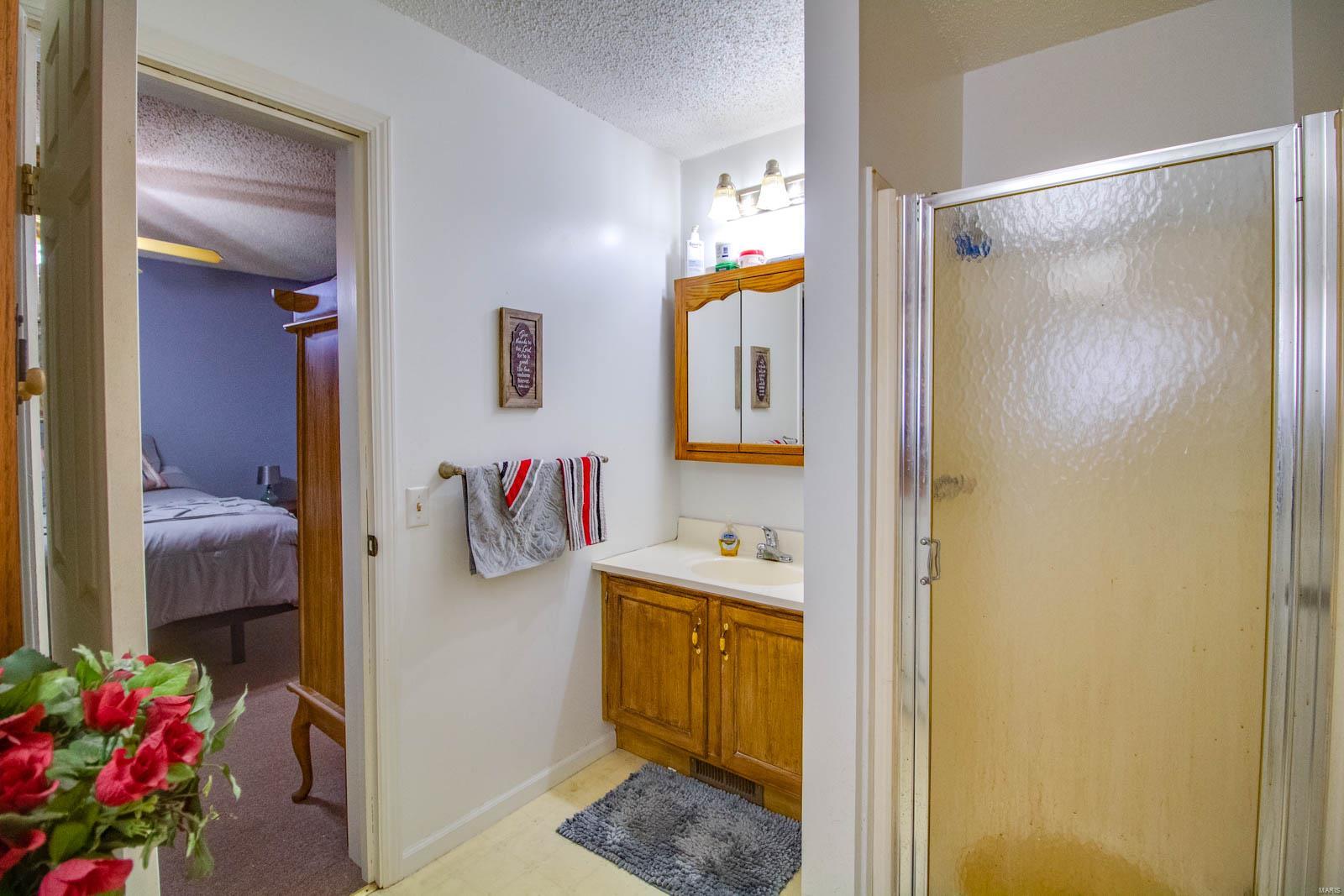 9517 Henderson Road Gillespie, IL 62033 - Photo 53 of 60