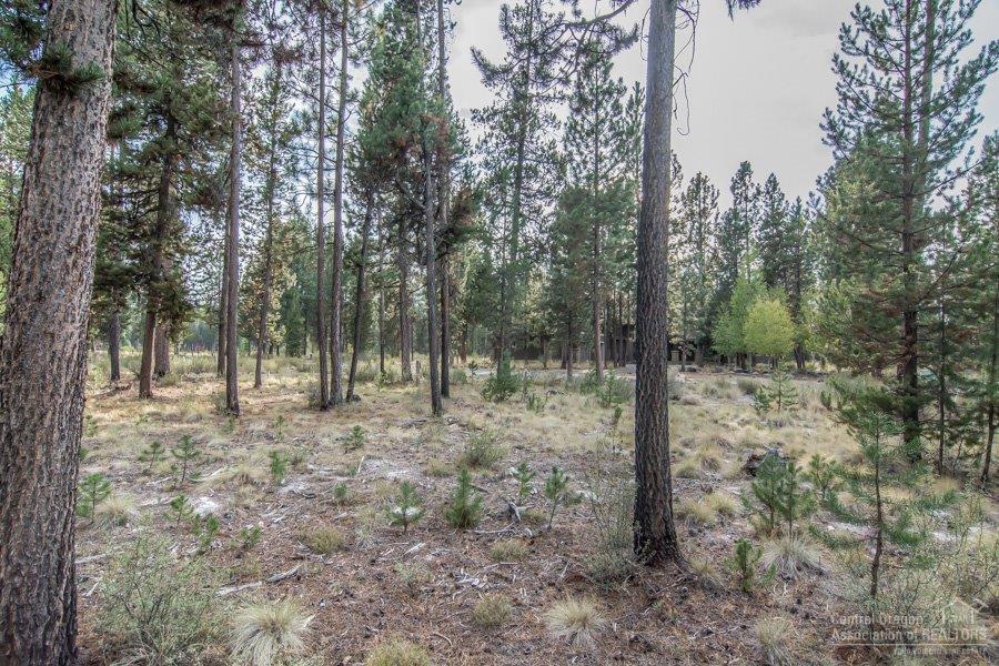 56456 Sunstone Loop Bend, OR 97707 - Photo 13 of 15 Additional Photo