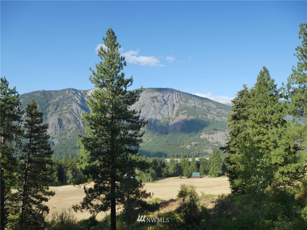 124 Highland Road Winthrop, WA 98862 - Photo 2 of 24