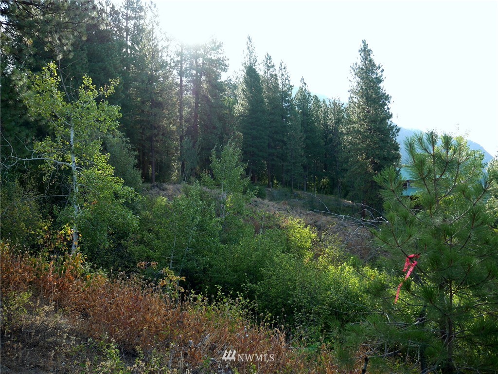124 Highland Road Winthrop, WA 98862 - Photo 12 of 24