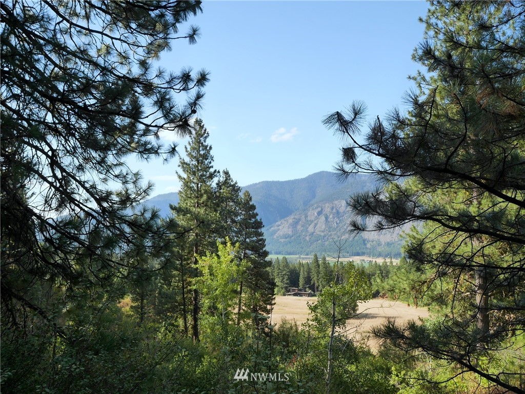124 Highland Road Winthrop, WA 98862 - Photo 15 of 24