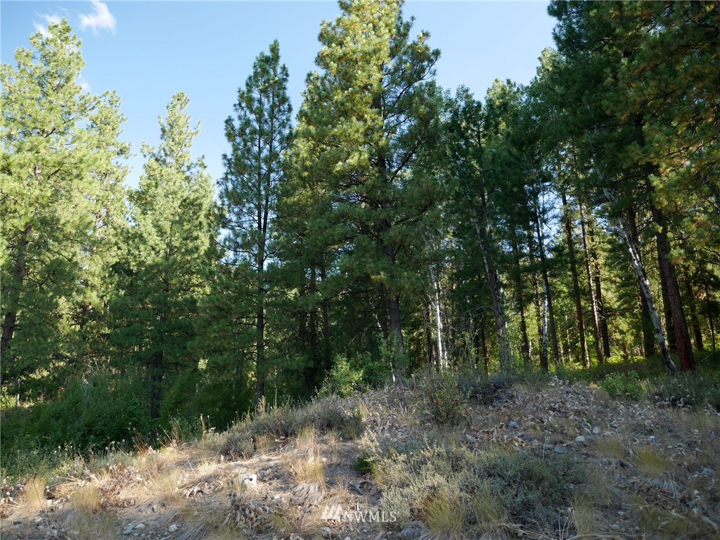 124 Highland Road Winthrop, WA 98862 - Photo 17 of 24