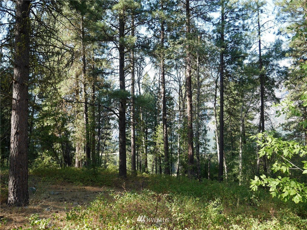 124 Highland Road Winthrop, WA 98862 - Photo 21 of 24