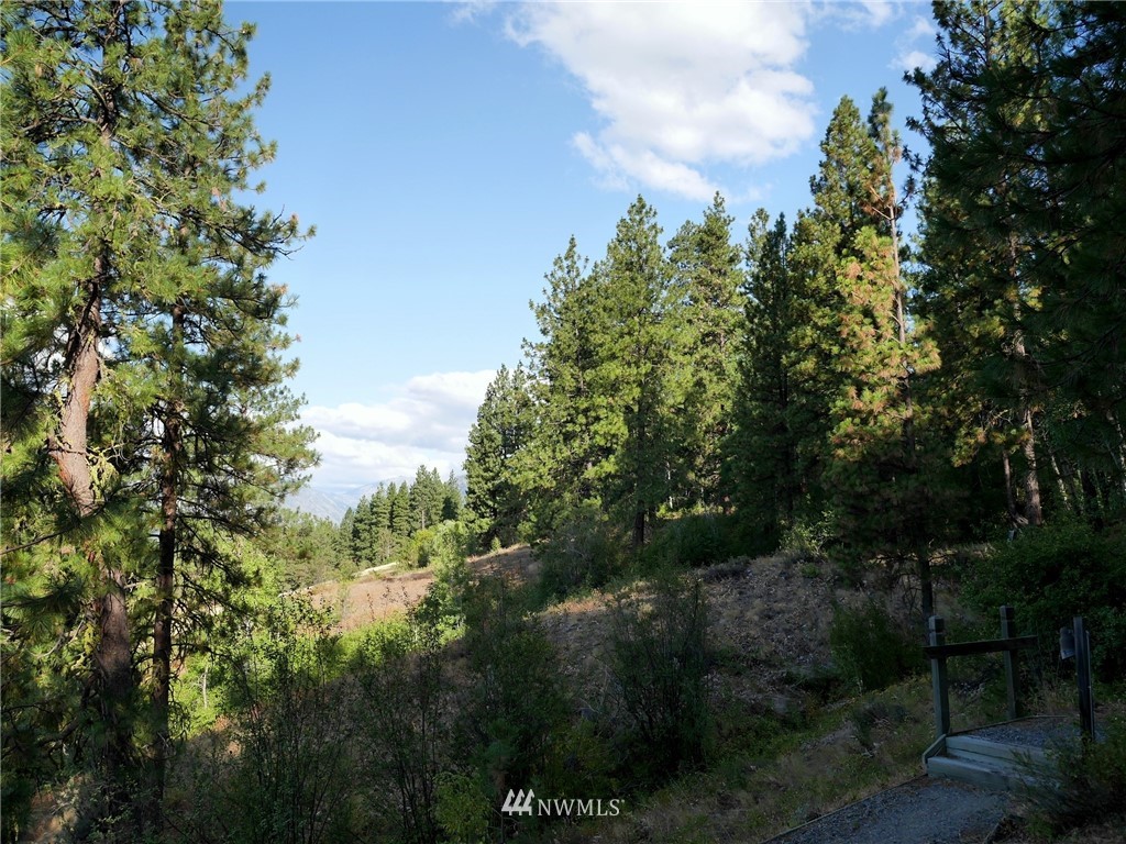124 Highland Road Winthrop, WA 98862 - Photo 24 of 24