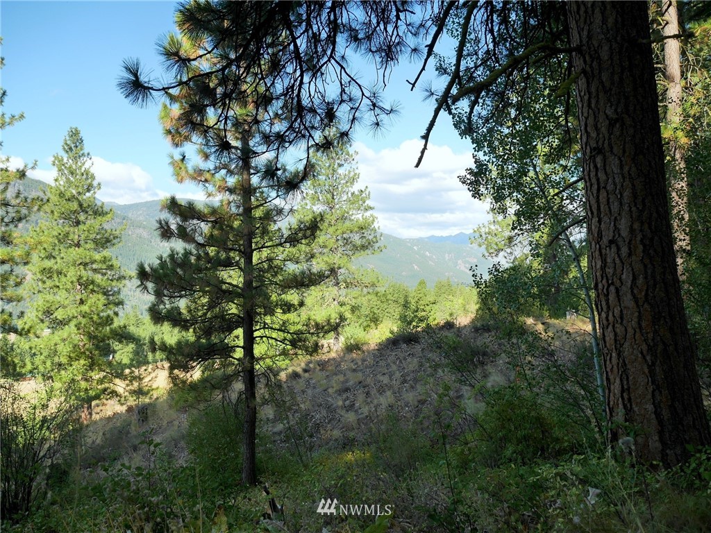 124 Highland Road Winthrop, WA 98862 - Photo 8 of 24