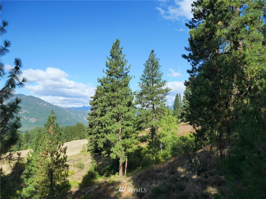 124 Highland Road Winthrop, WA 98862 - Photo 9 of 24