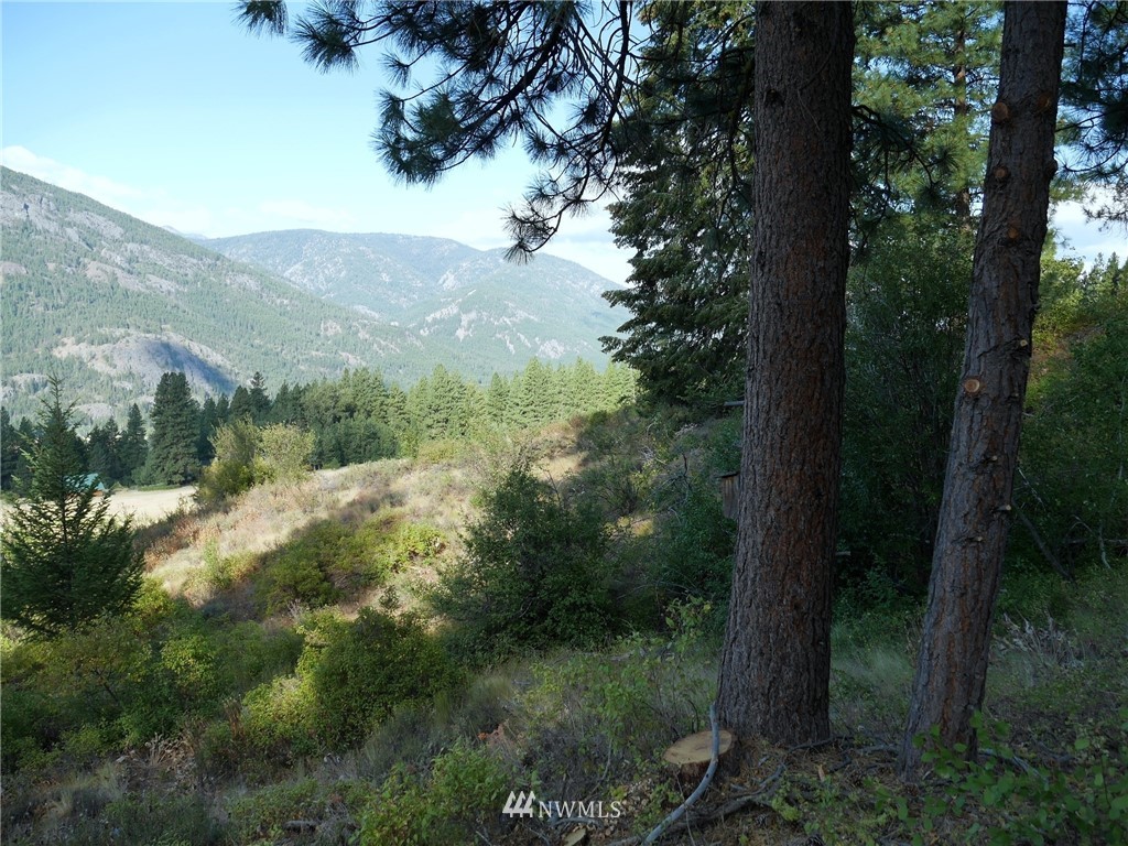 124 Highland Road Winthrop, WA 98862 - Photo 10 of 24