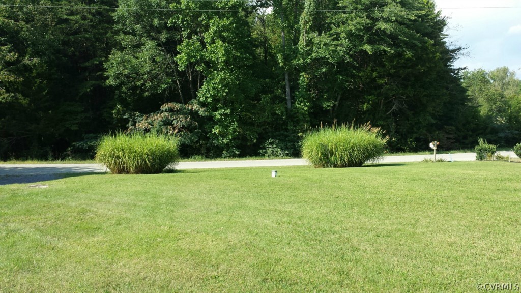 689 Sheppards Road Farmville, VA 23901 - Photo 11 of 16 a view of a garden