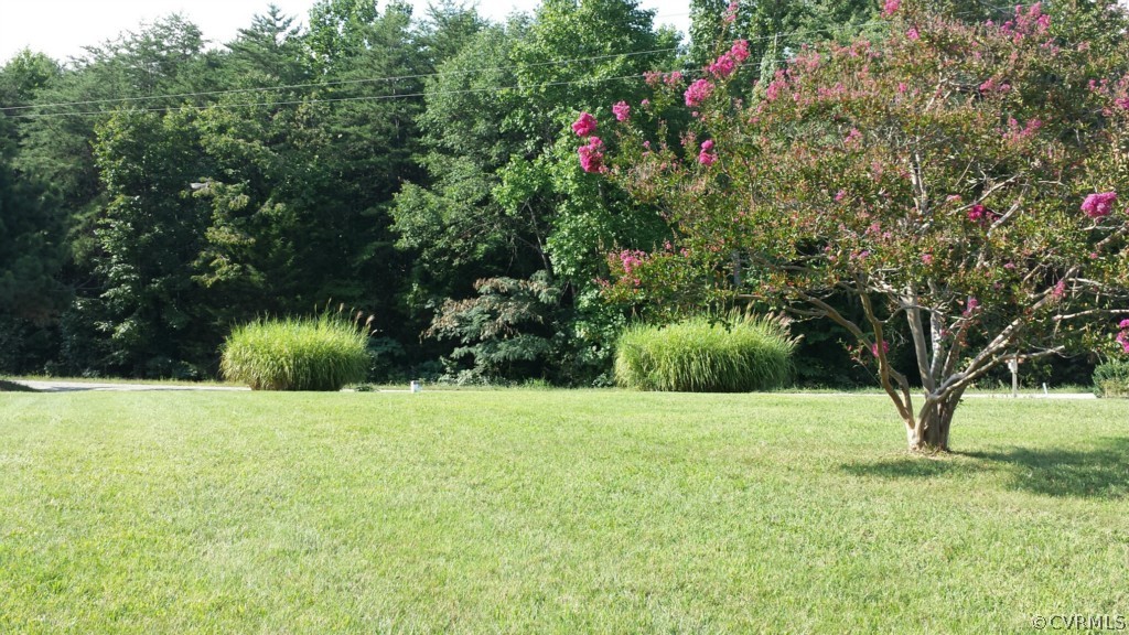 689 Sheppards Road Farmville, VA 23901 - Photo 2 of 16 a view of a garden with a tree