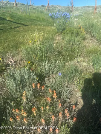 $798,000 | 122 Merrimac Trail, Pinedale, WY 82941