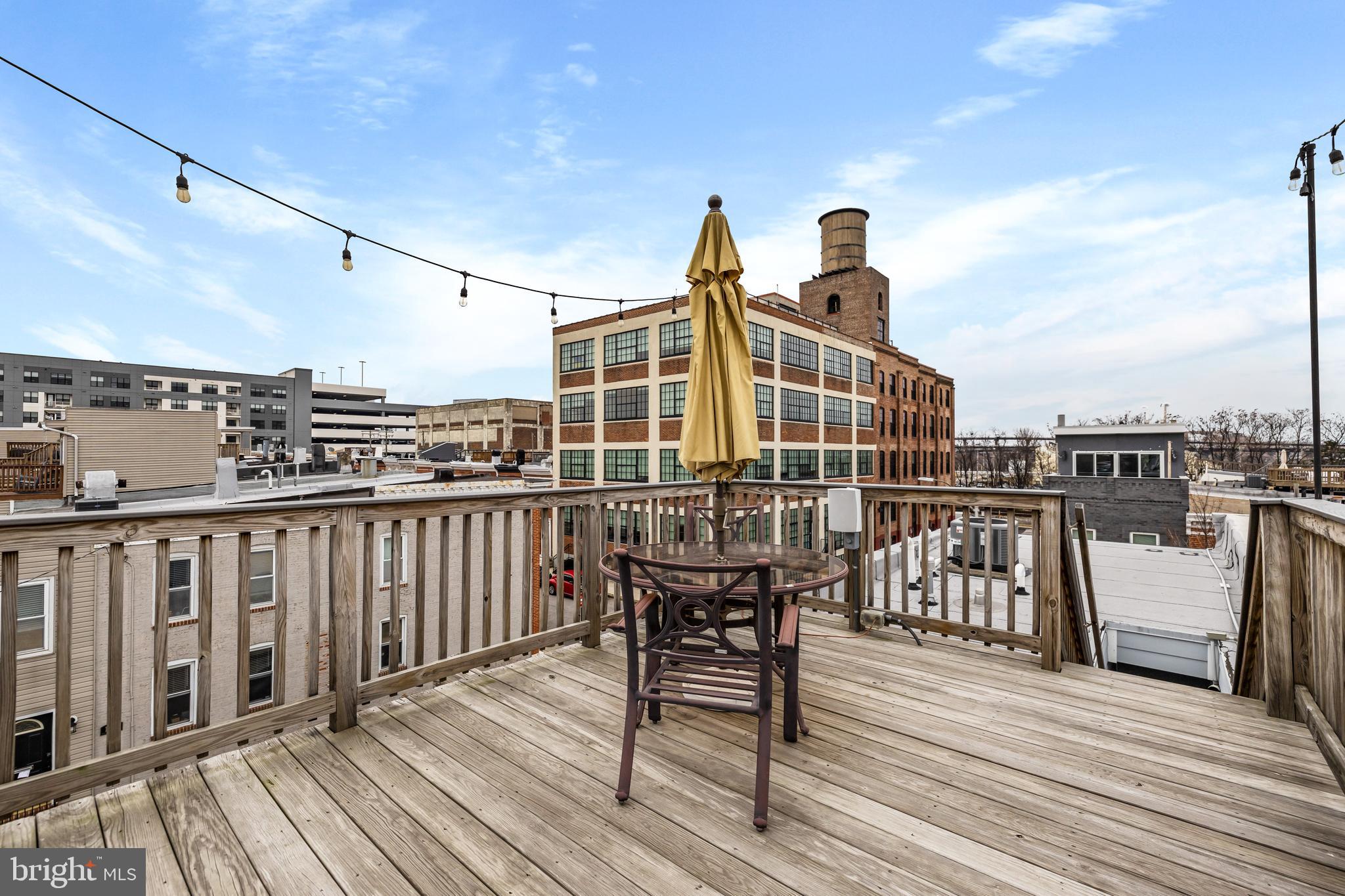 1637 Clarkson Street Baltimore, MD 21230 - Photo 33 of 46 Roof deck