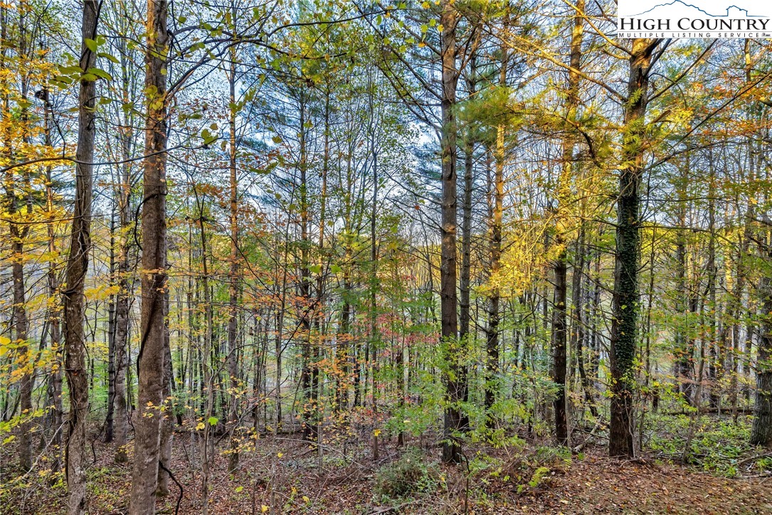 539 Four Coves Trail Crumpler, NC 28617 - Photo 36 of 37 a view of a garden