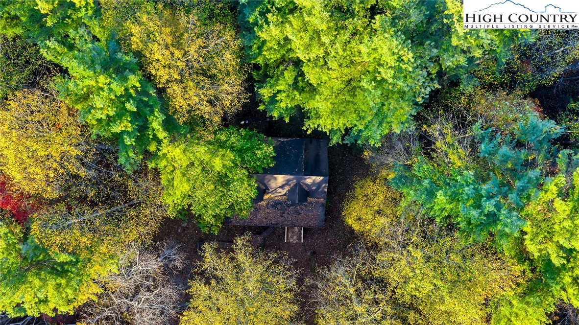 539 Four Coves Trail Crumpler, NC 28617 - Photo 4 of 37 a view of a garden with a tree