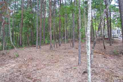 4 Fairview Church Road Seneca, SC 29672 - Photo 3 of 5 Gallery Image 3