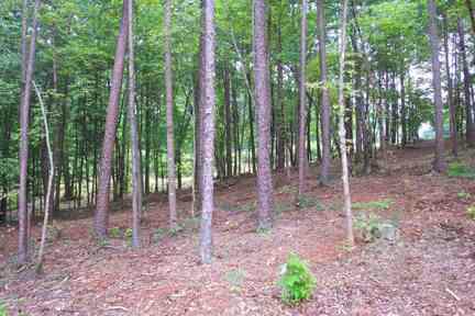4 Fairview Church Road Seneca, SC 29672 - Photo 5 of 5 Gallery Image 5