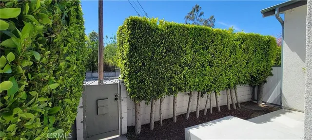 a view of a backyard