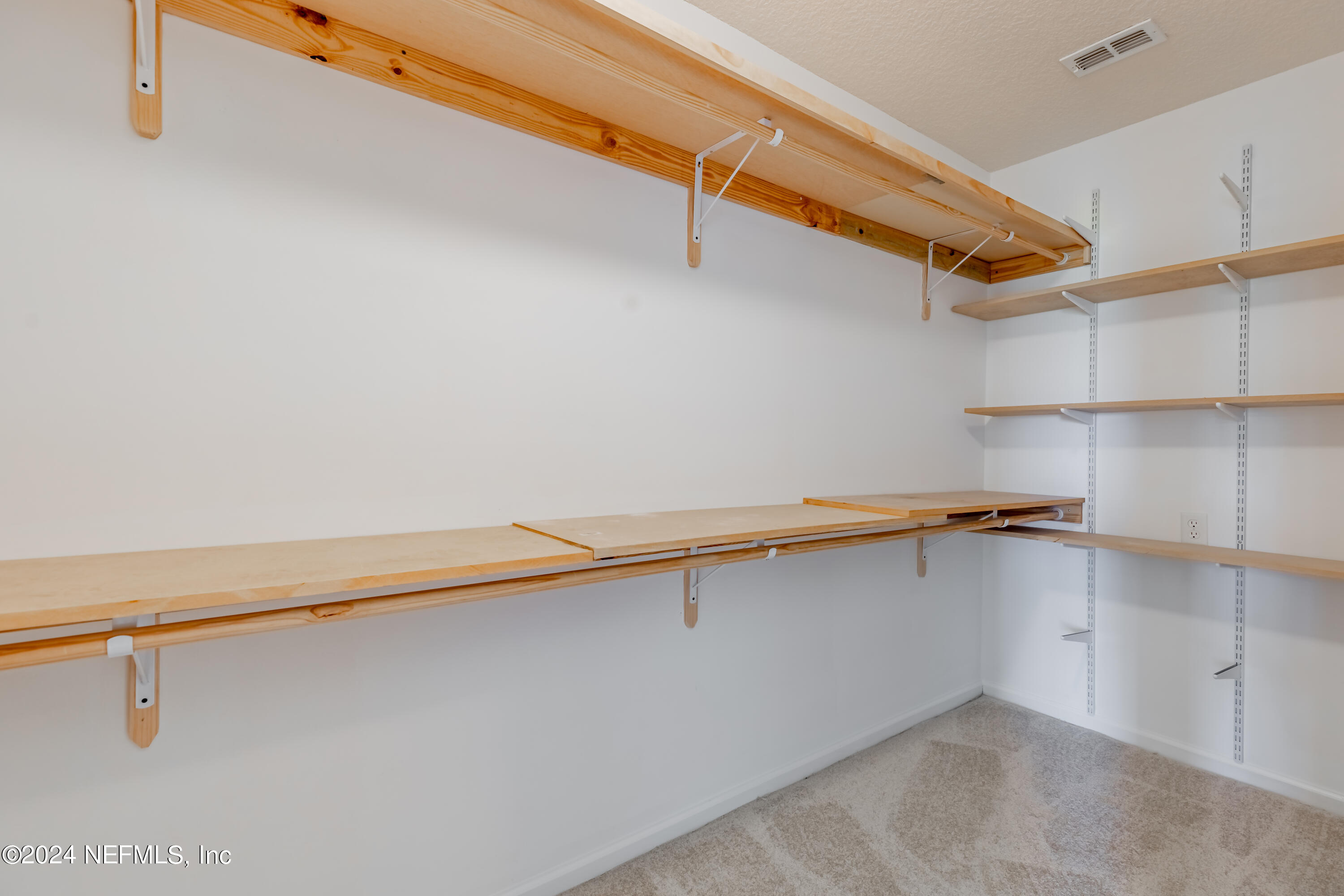 1322 Highfield Lane Middleburg, FL 32068 - Photo 21 of 39 Primary Walk In Closet