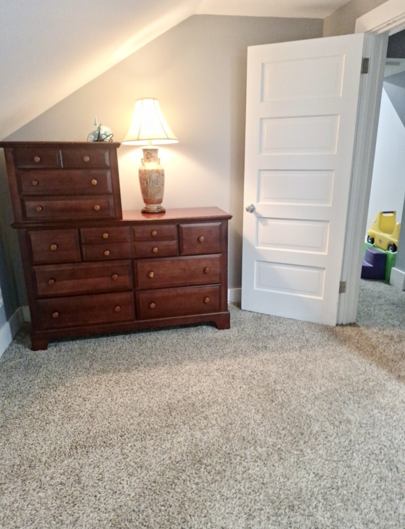 414 Pontiac Street Tonica, IL 61370 - Photo 13 of 22