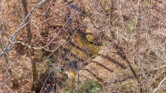 a green field with trees in the background