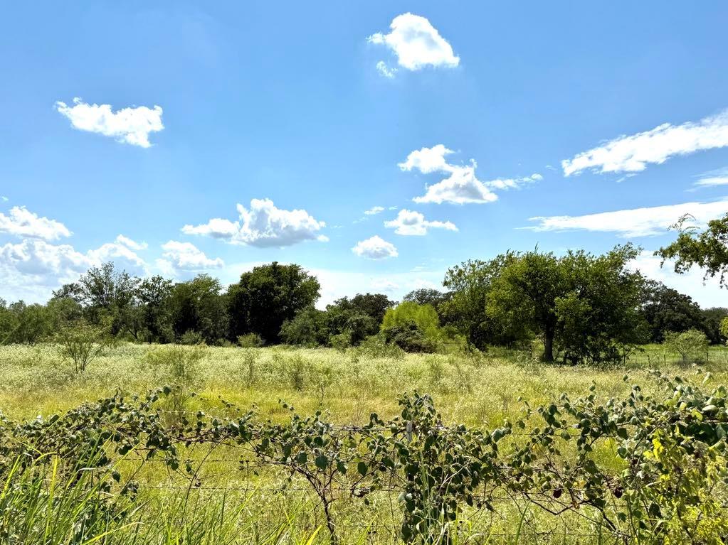 105a Riesel Tx 76682 Riesel, TX 76682 - Photo 22 of 34 a view of a fountain in middle of the garden