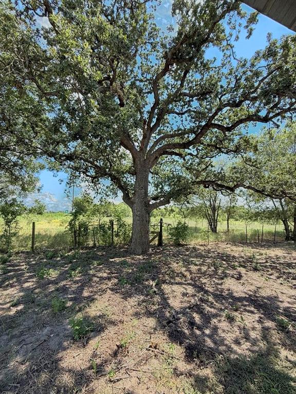 105a Riesel Tx 76682 Riesel, TX 76682 - Photo 25 of 34 a big yard with lots of green space