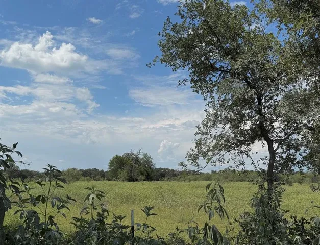 a view of a green field