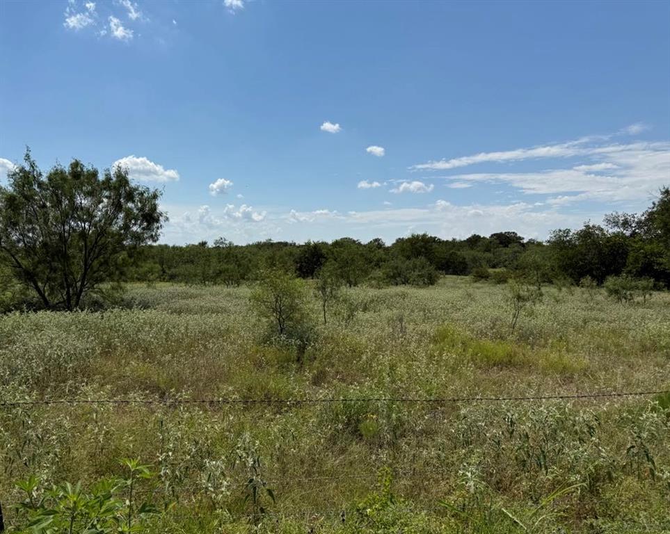 105a Riesel Tx 76682 Riesel, TX 76682 - Photo 32 of 34 a view of a green field