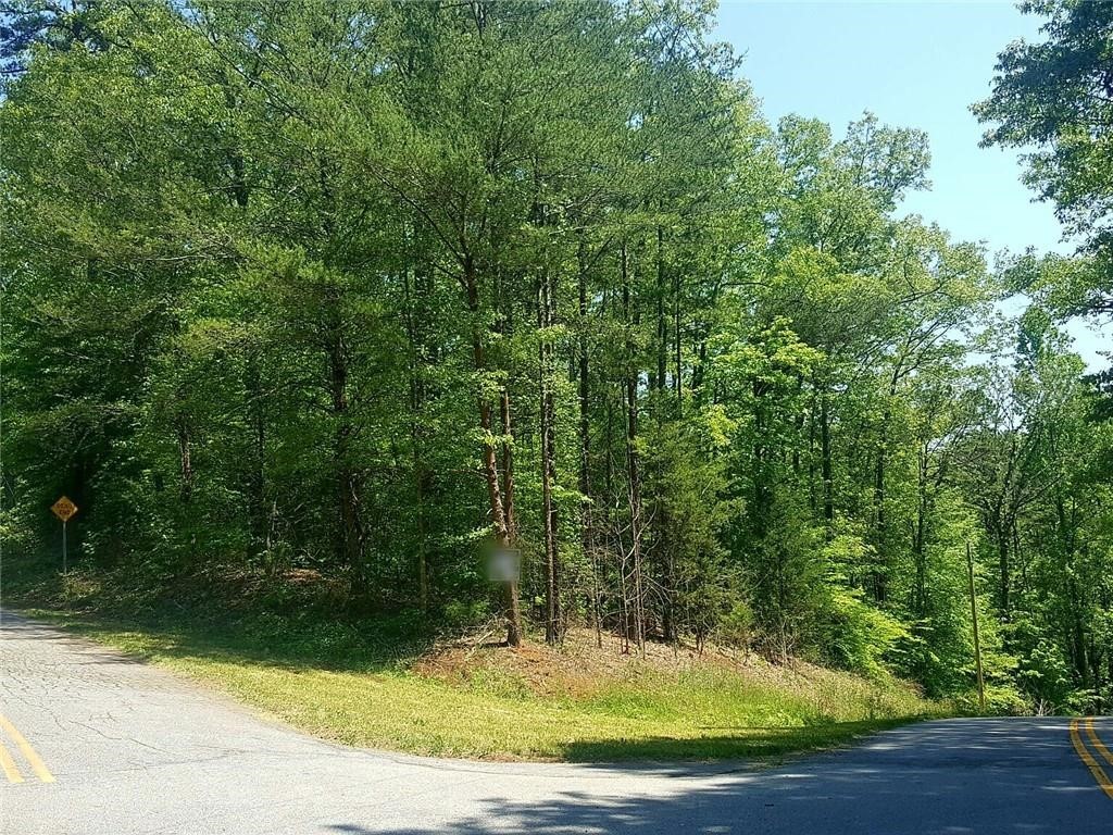 Lot 35 Crystal Falls Rd Union West Union, SC 29696 - Photo 1 of 4 Gallery Image 1