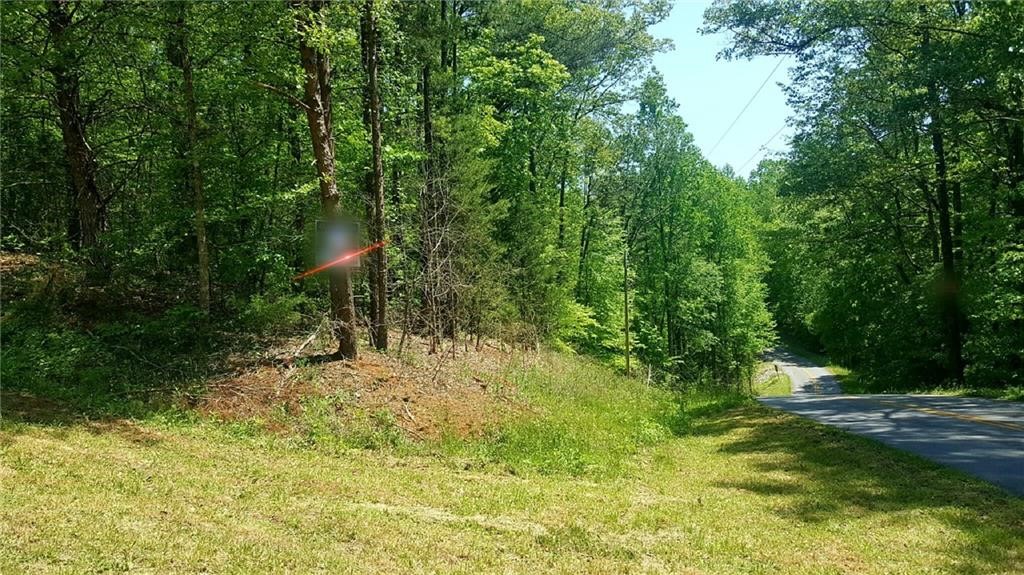 Lot 35 Crystal Falls Rd Union West Union, SC 29696 - Photo 2 of 4 Gallery Image 2