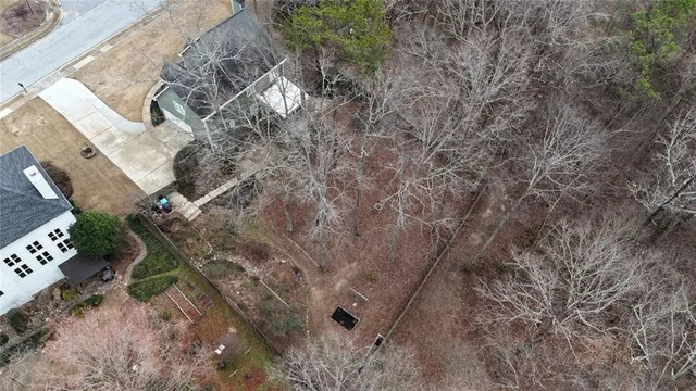 a bird view of house
