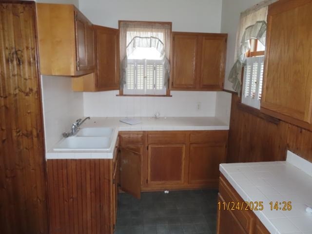 103 1st Street Bradford, IL 61421 - Photo 6 of 48 a bathroom with a sink and a mirror