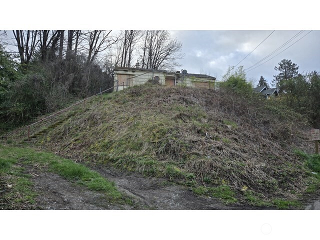 4010 22nd Avenue Southwest Seattle, WA 98106 - Photo 7 of 7 a open area with trees in the background