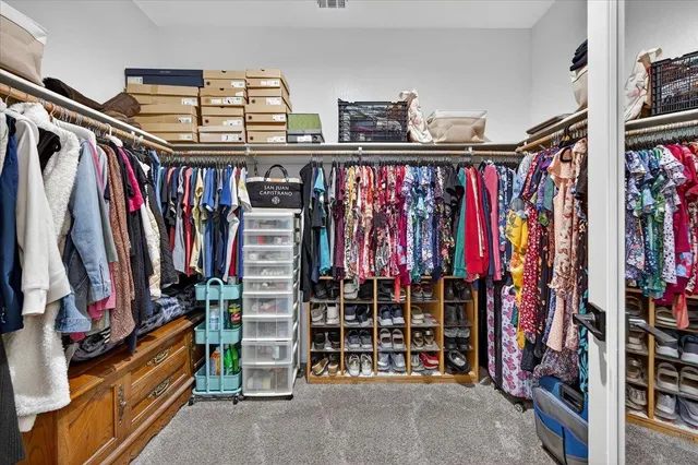 a view of a backyard with plants and tree