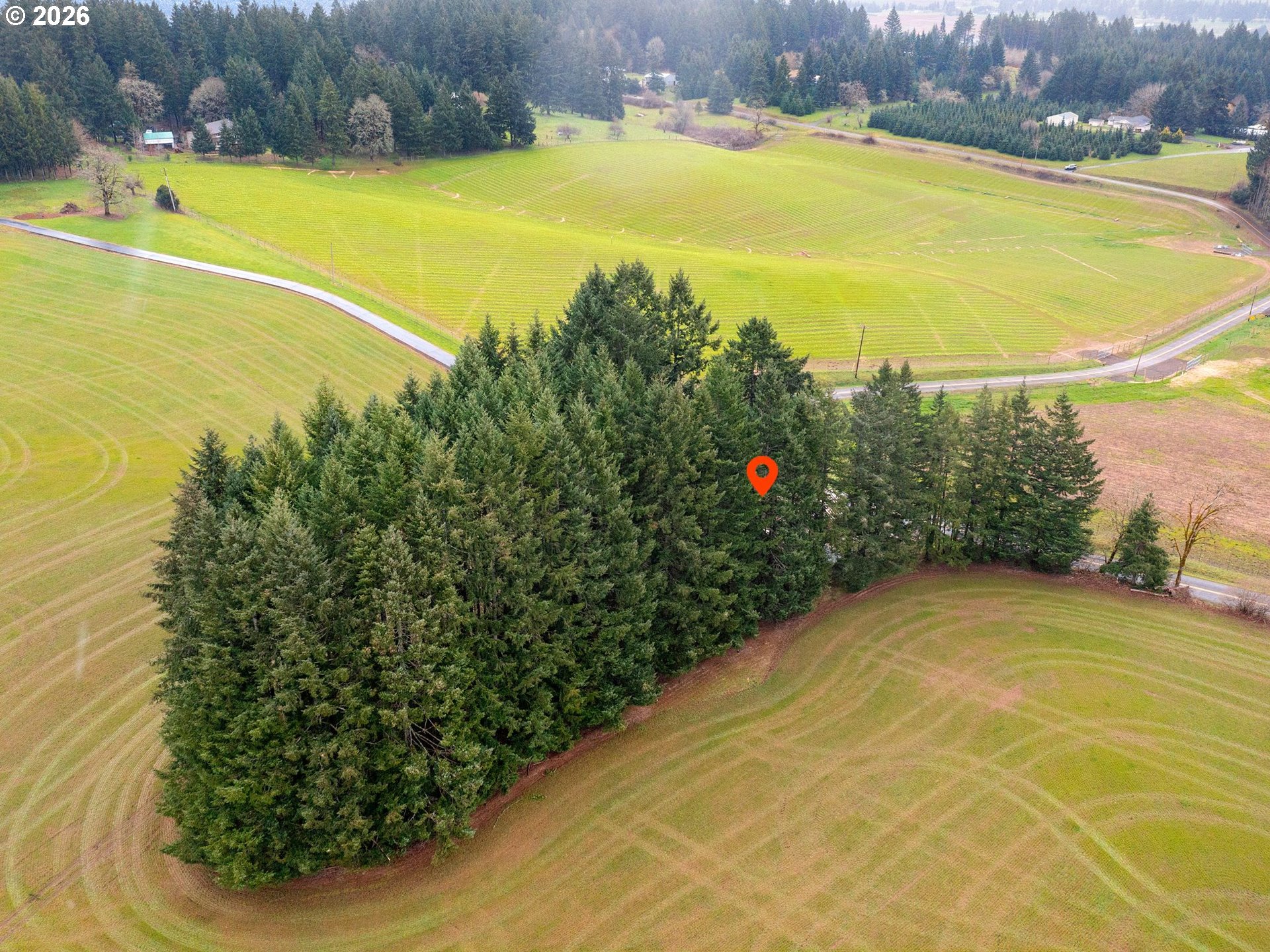 7001 Southwest Winters Road Cornelius, OR 97113 - Photo 14 of 16