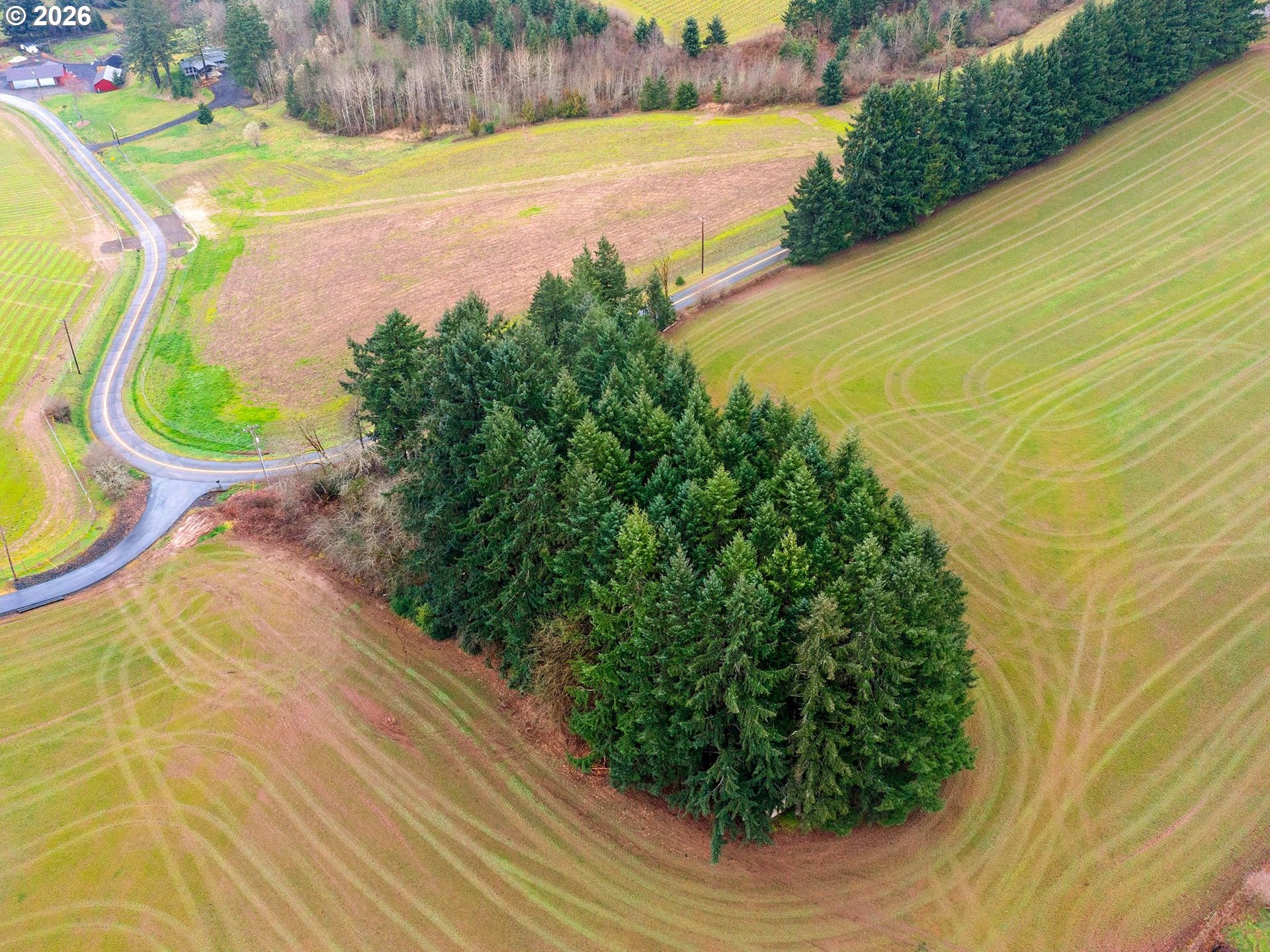 7001 Southwest Winters Road Cornelius, OR 97113 - Photo 16 of 16