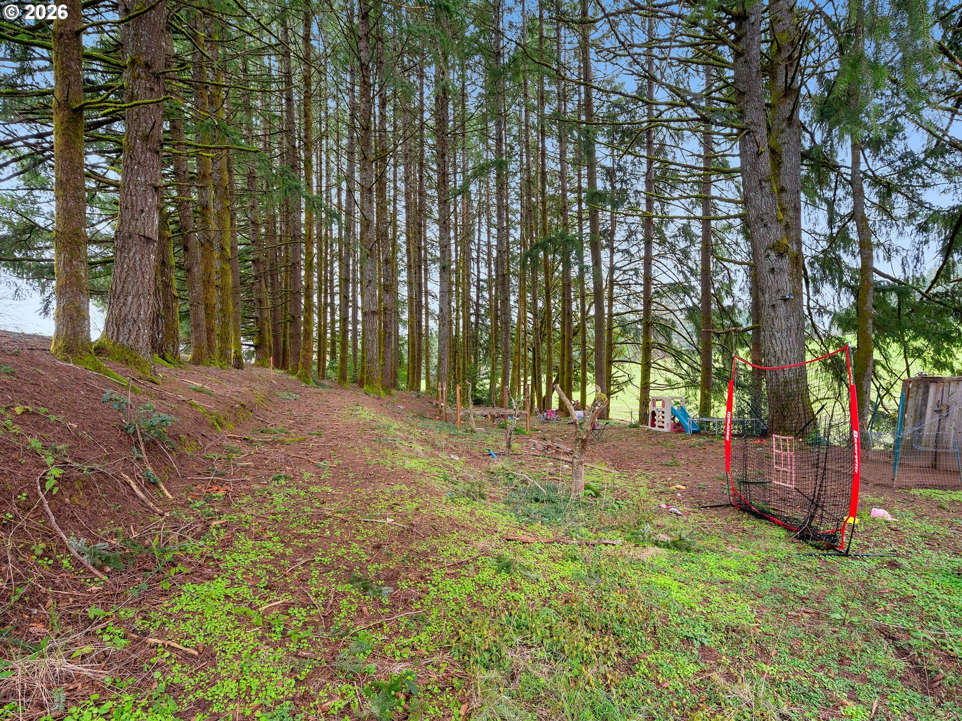 7001 Southwest Winters Road Cornelius, OR 97113 - Photo 9 of 16