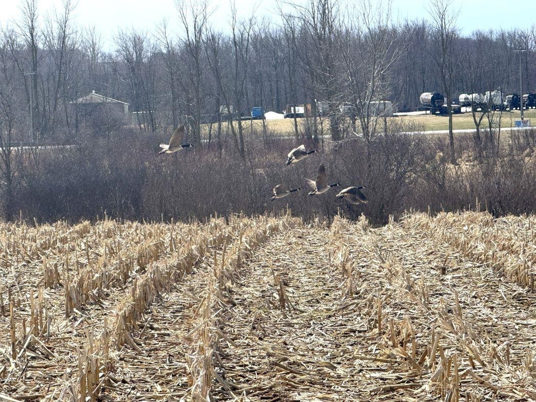 City View Road, Unit 1 Kiel, WI 53042 - Photo 19 of 46