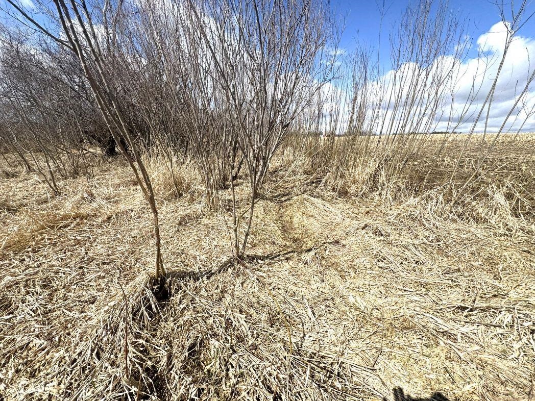 City View Road, Unit 1 Kiel, WI 53042 - Photo 23 of 46